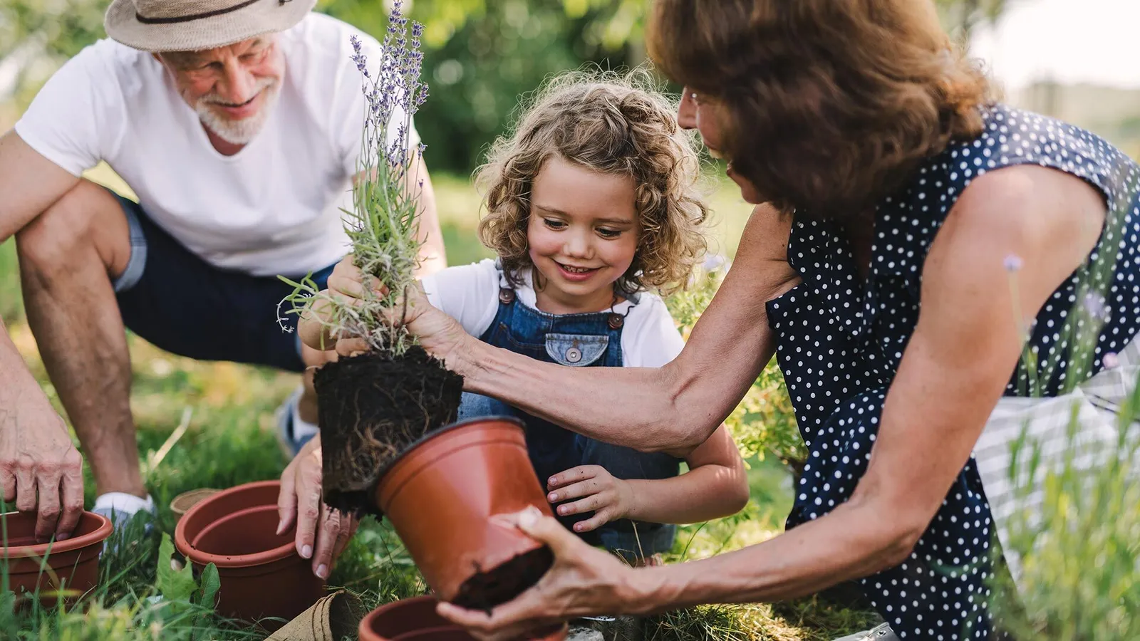 Familie topft eine Pflanze um