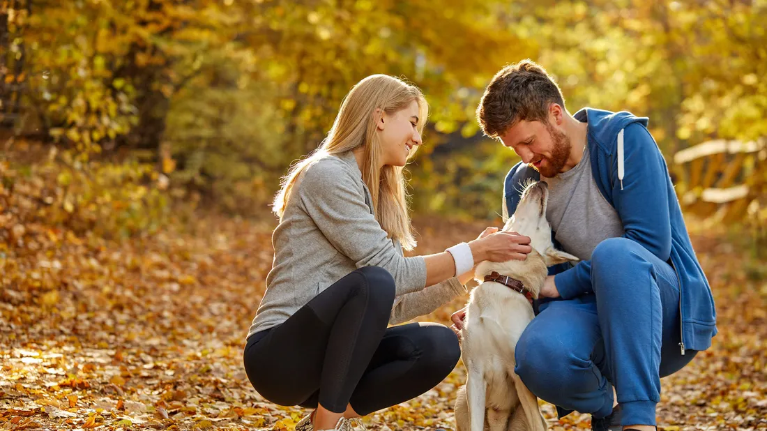 Frau und Mann streicheln einen Hund im Herbstwald