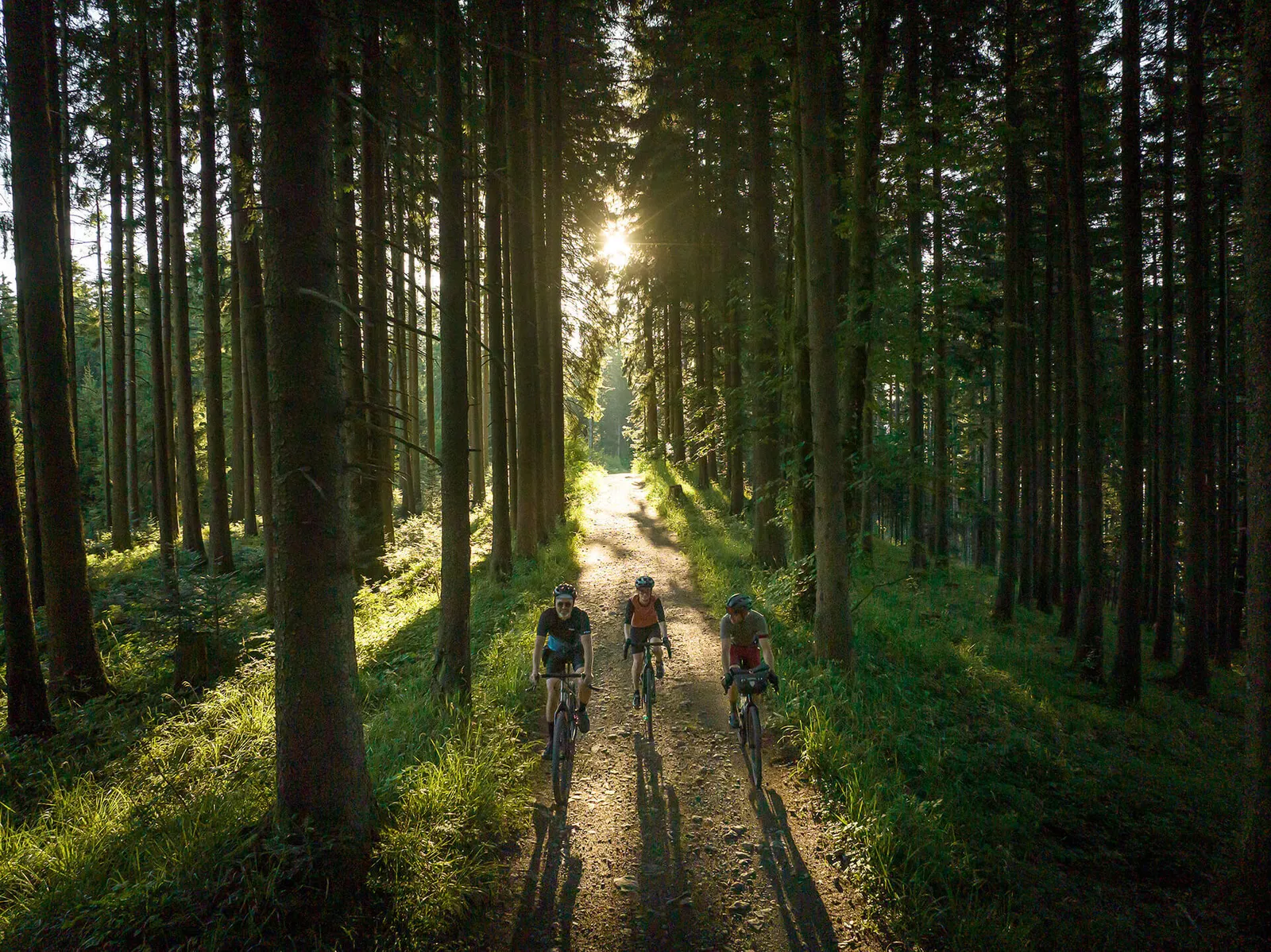 Drei Gravelbiker auf einer Forststrasse im Wald