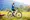 E-Mountainbikerin auf einer Wiese